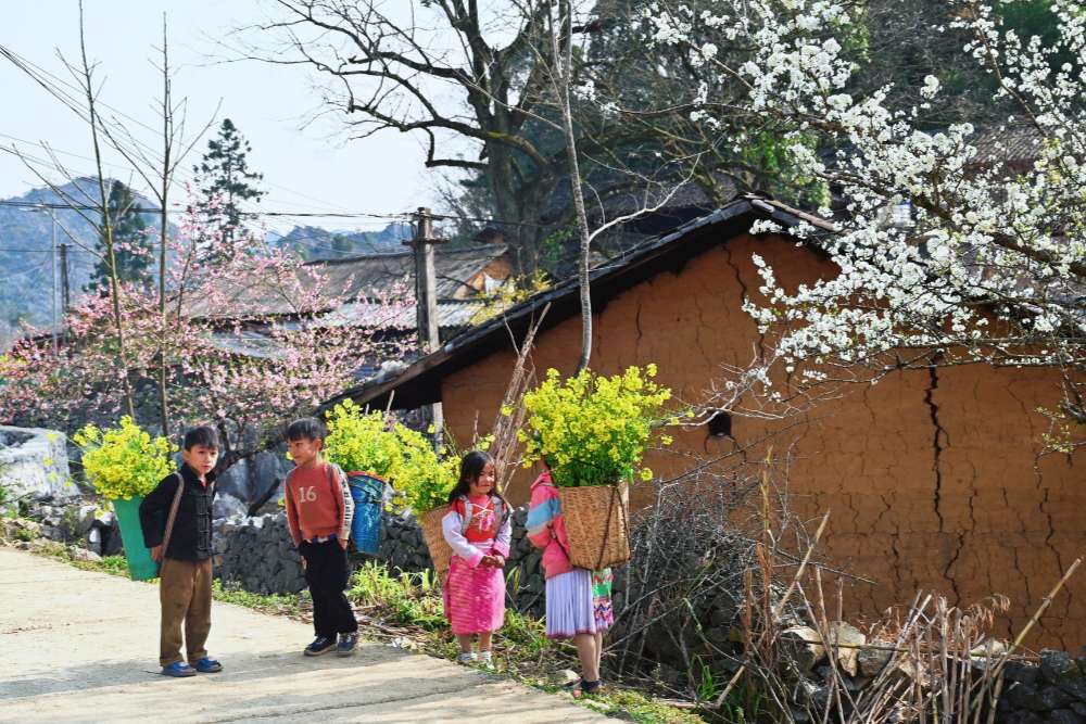 Enfants portant des paniers de fleurs dans le vieille ville de Dong Van